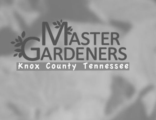 Master Gardeners set classes for 2023