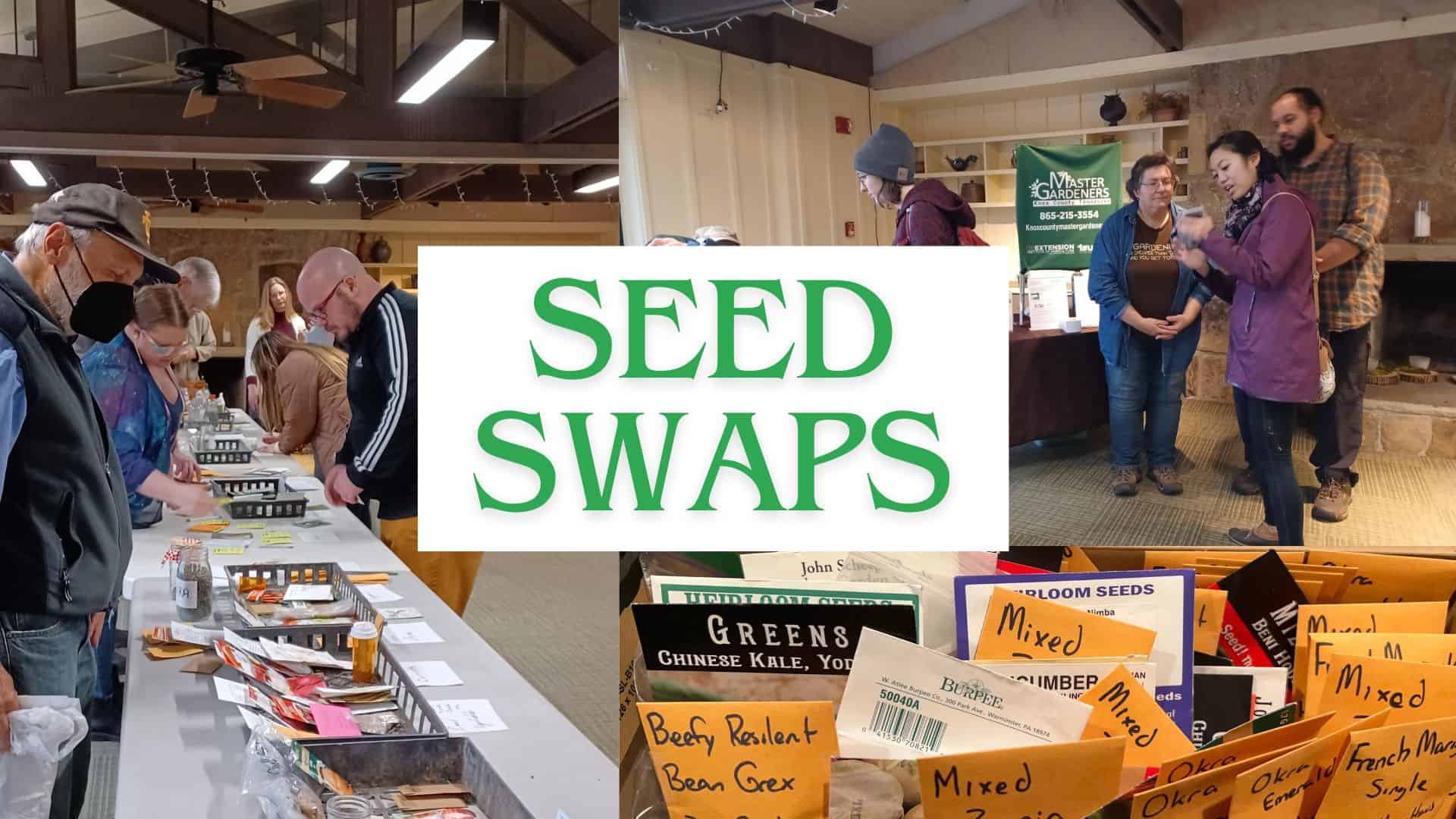 amg, seed swap